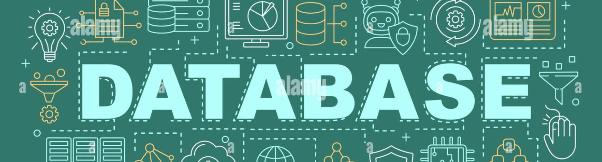 Access 2024 - Lifetime Activation BIND License Key for 1 PC